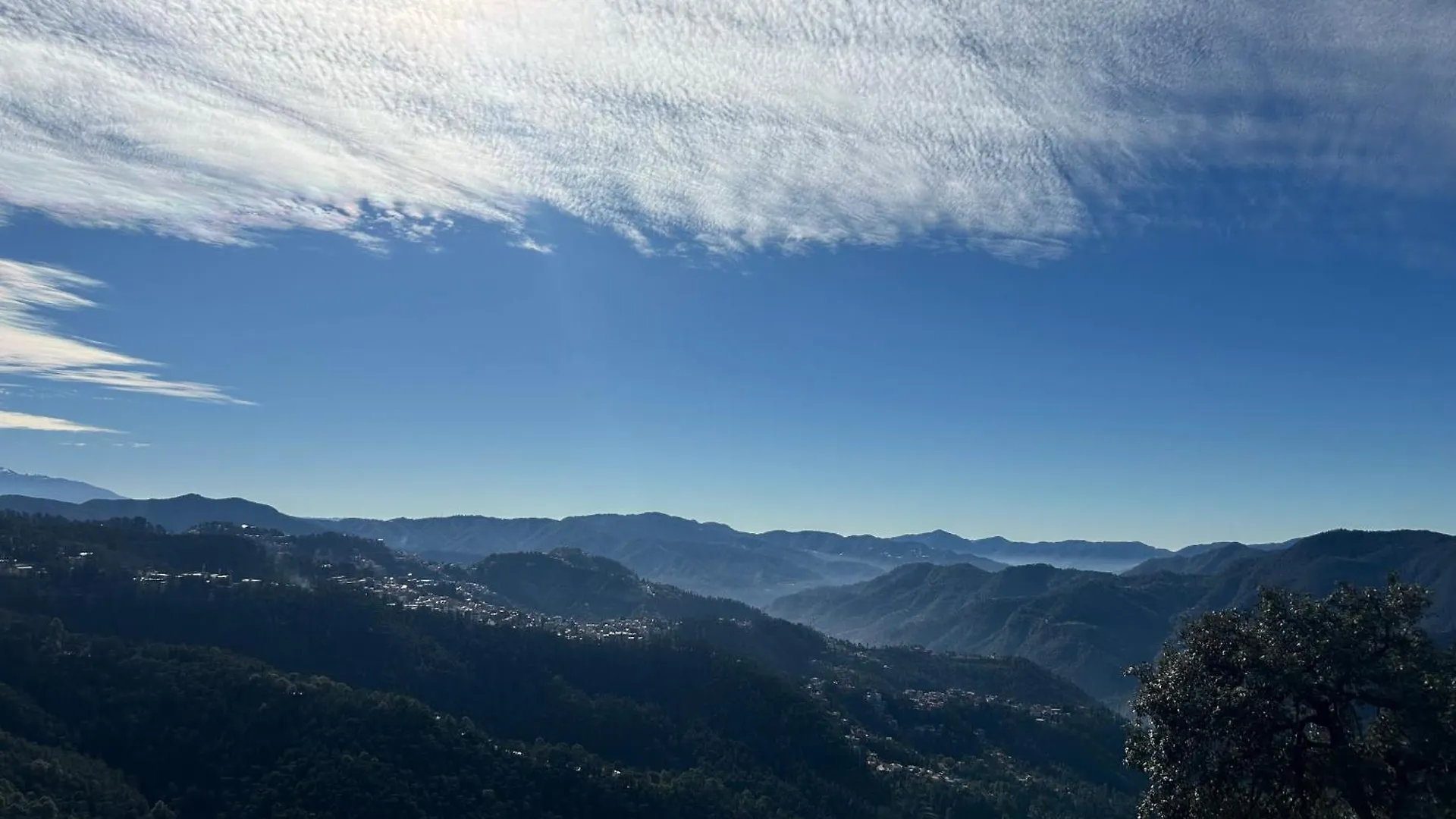 Bed & Breakfast Pine Ville Shimla