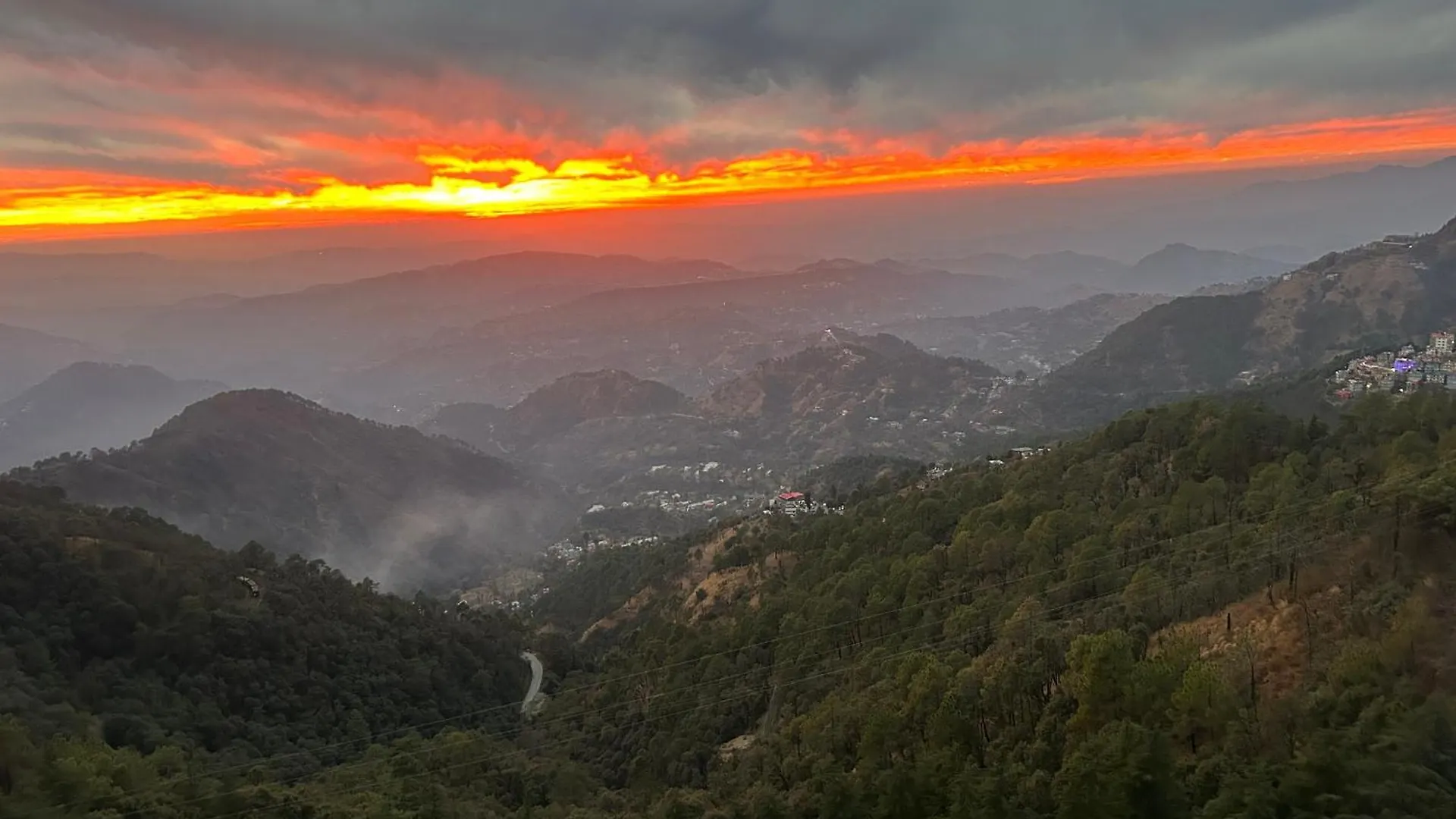 Pine Ville Shimla India